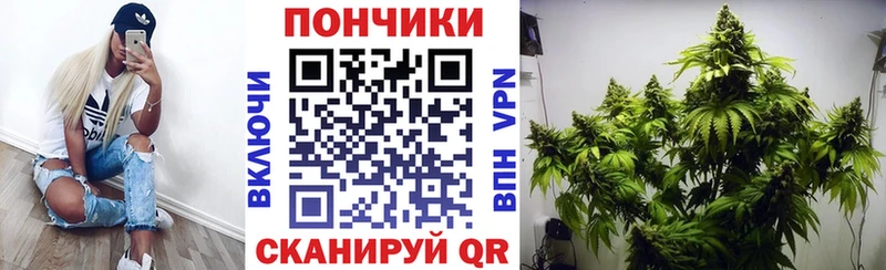Бошки марихуана SATIVA & INDICA купить наркотик OMG как войти Уварово